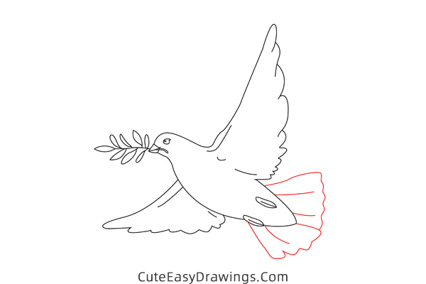 how to draw a dove of peace - www.cuteeasydrawings.com