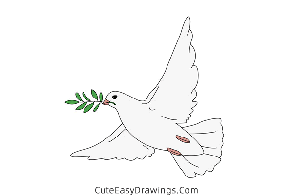 how to draw a dove of peace - www.cuteeasydrawings.com