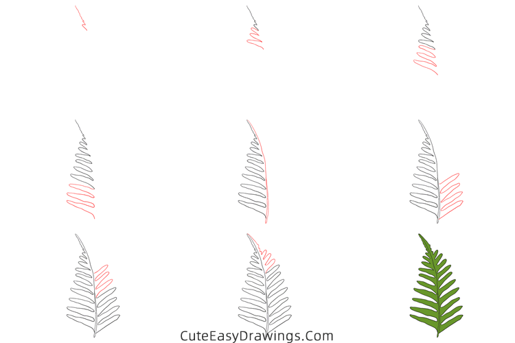 how to draw a fern leaf - www.cuteeasydrawings.com