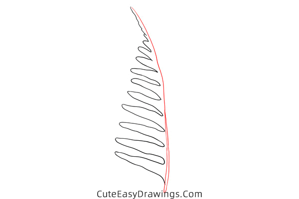 how to draw a fern leaf - www.cuteeasydrawings.com