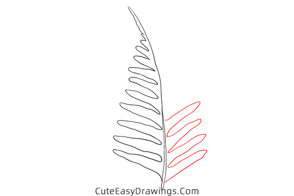 how to draw a fern leaf - www.cuteeasydrawings.com