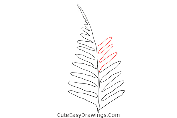 how to draw a fern leaf - www.cuteeasydrawings.com