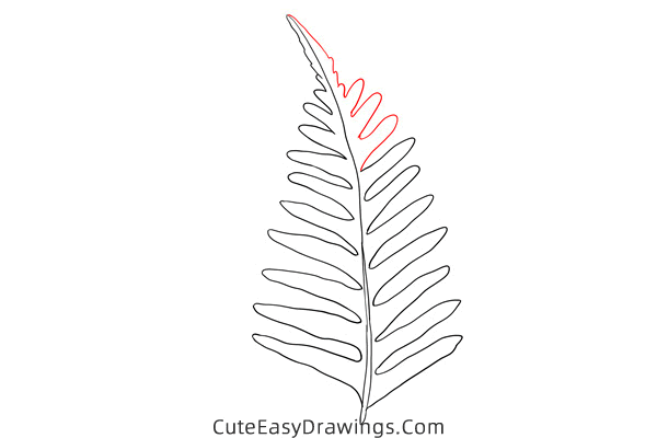 how to draw a fern leaf - www.cuteeasydrawings.com