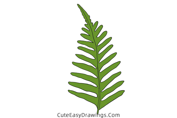 how to draw a fern leaf - www.cuteeasydrawings.com