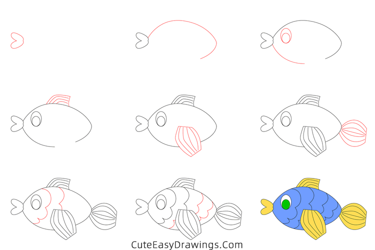 how to draw a cute fish - www.cuteeasydrawings.com