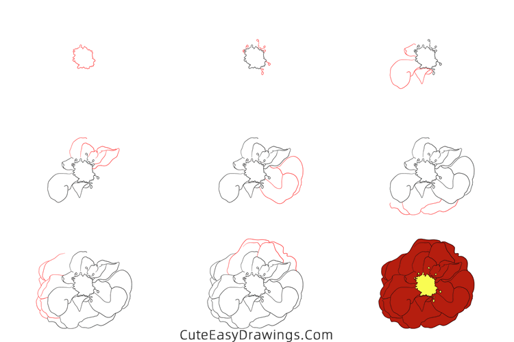 how to draw a realistic hollyhock flower - www.cuteeasydrawings.com