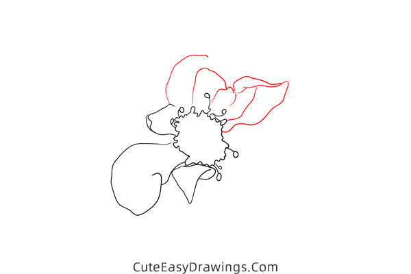 how to draw a realistic hollyhock flower - www.cuteeasydrawings.com