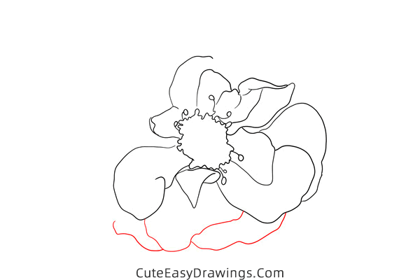 how to draw a realistic hollyhock flower - www.cuteeasydrawings.com