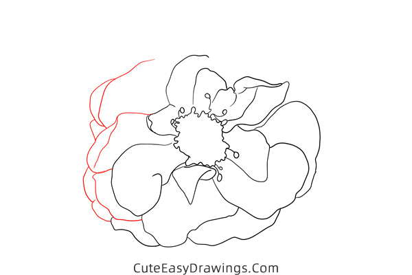 how to draw a realistic hollyhock flower - www.cuteeasydrawings.com