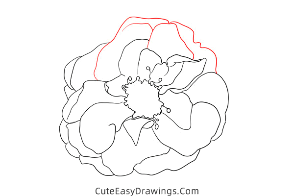 how to draw a realistic hollyhock flower - www.cuteeasydrawings.com