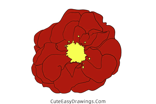 how to draw a realistic hollyhock flower - www.cuteeasydrawings.com