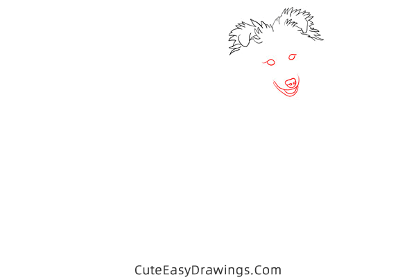 how to draw a realistic sheepdog - www.cuteeasydrawings.com