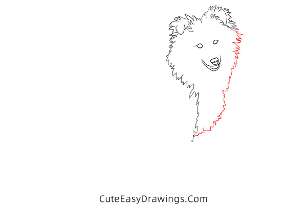 how to draw a realistic sheepdog - www.cuteeasydrawings.com