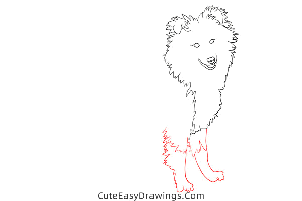 how to draw a realistic sheepdog - www.cuteeasydrawings.com