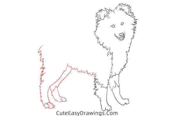 how to draw a realistic sheepdog - www.cuteeasydrawings.com