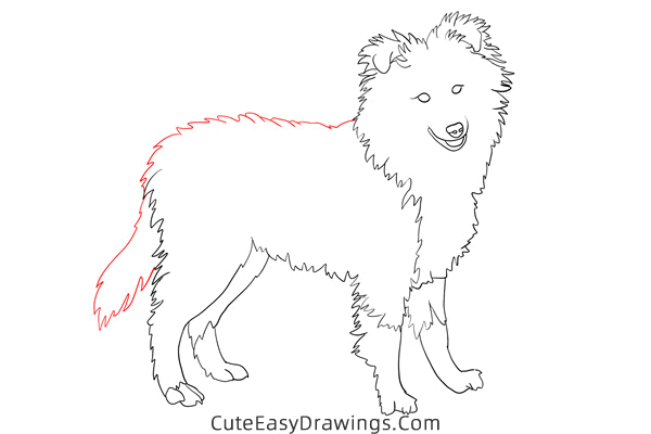 how to draw a realistic sheepdog - www.cuteeasydrawings.com