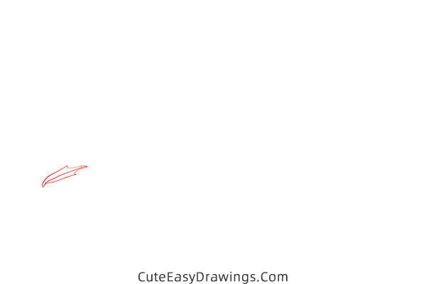 how to draw an arctic tern - www.cuteeasydrawings.com