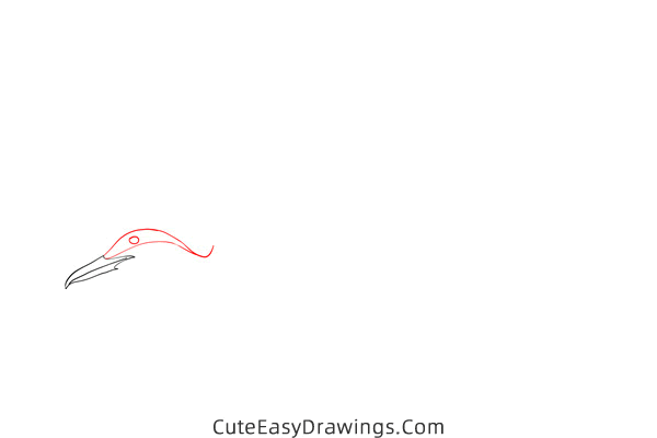 how to draw an arctic tern - www.cuteeasydrawings.com