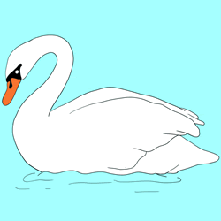 How to Draw a Swan Step by Step