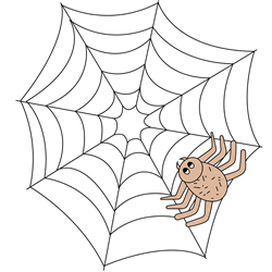 How to Draw a Spider Web Step by Step