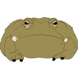 How to Draw a Sonoran Desert Toad Step by Step