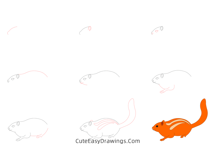 how to draw a squirrel easy - www.cuteeasydrawings.com