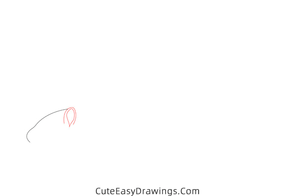 how to draw a squirrel easy - www.cuteeasydrawings.com