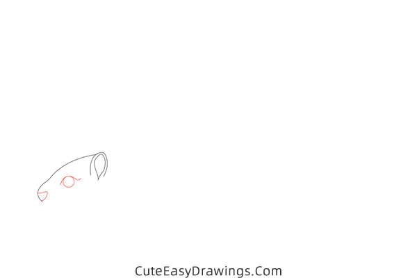 how to draw a squirrel easy - www.cuteeasydrawings.com