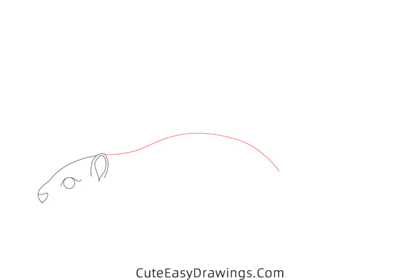 how to draw a squirrel easy - www.cuteeasydrawings.com