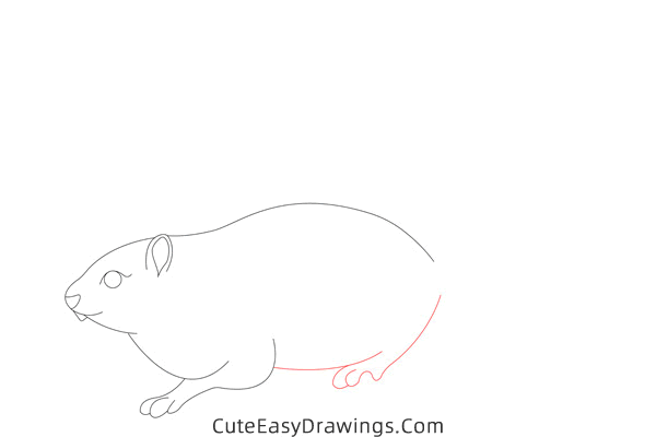 how to draw a squirrel easy - www.cuteeasydrawings.com