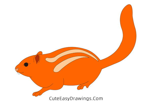 how to draw a squirrel easy - www.cuteeasydrawings.com