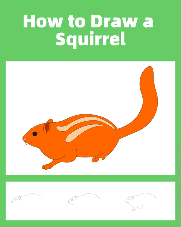 how to draw a squirrel easy - www.cuteeasydrawings.com