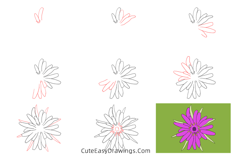 how to draw a salsify flower - www.cuteeasydrawings.com