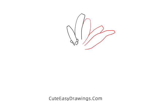 how to draw a salsify flower - www.cuteeasydrawings.com