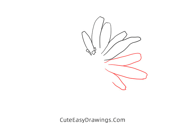 how to draw a salsify flower - www.cuteeasydrawings.com