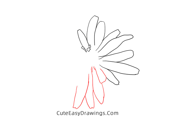 how to draw a salsify flower - www.cuteeasydrawings.com