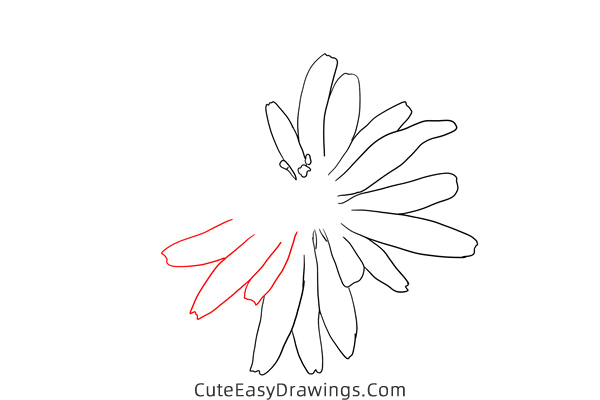 how to draw a salsify flower - www.cuteeasydrawings.com