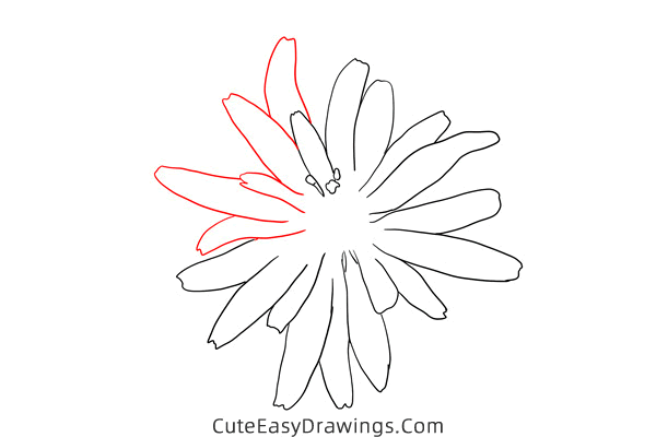 how to draw a salsify flower - www.cuteeasydrawings.com