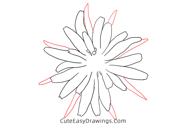 how to draw a salsify flower - www.cuteeasydrawings.com