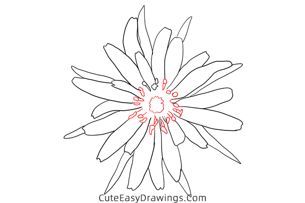 how to draw a salsify flower - www.cuteeasydrawings.com