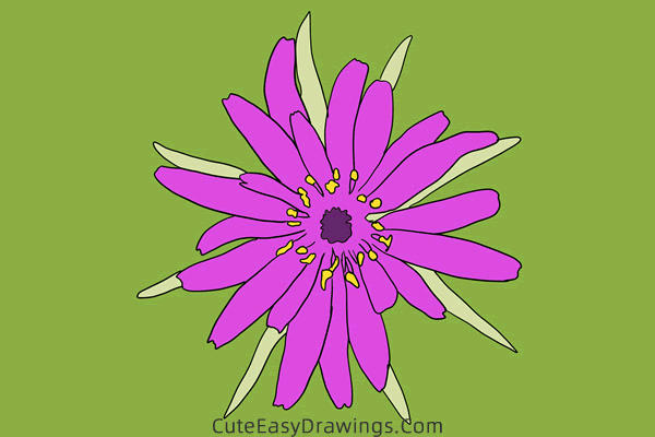 how to draw a salsify flower - www.cuteeasydrawings.com