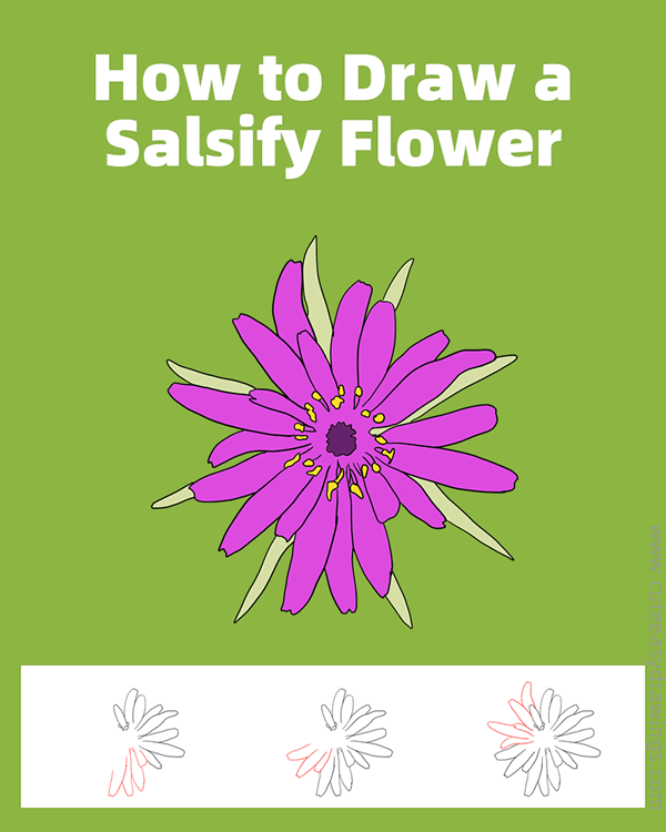 how to draw a salsify flower - www.cuteeasydrawings.com