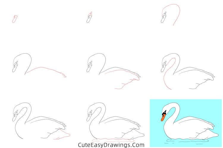 how to draw a swan - www.cuteeasydrawings.com