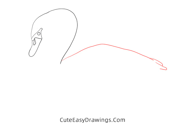 how to draw a swan - www.cuteeasydrawings.com