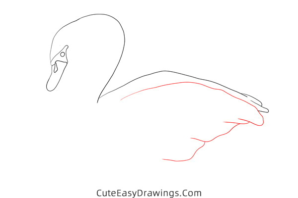 how to draw a swan - www.cuteeasydrawings.com