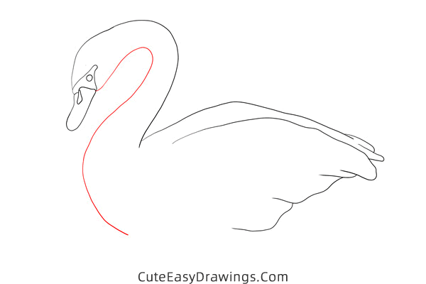 how to draw a swan - www.cuteeasydrawings.com