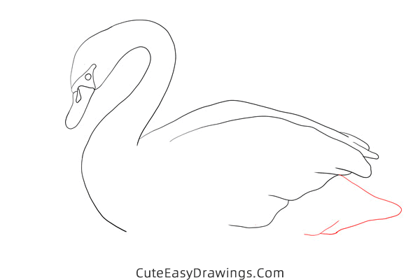 how to draw a swan - www.cuteeasydrawings.com