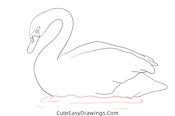 how to draw a swan - www.cuteeasydrawings.com