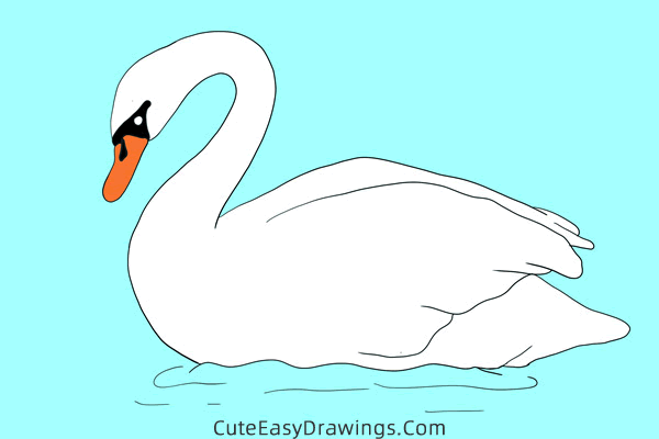 how to draw a swan - www.cuteeasydrawings.com