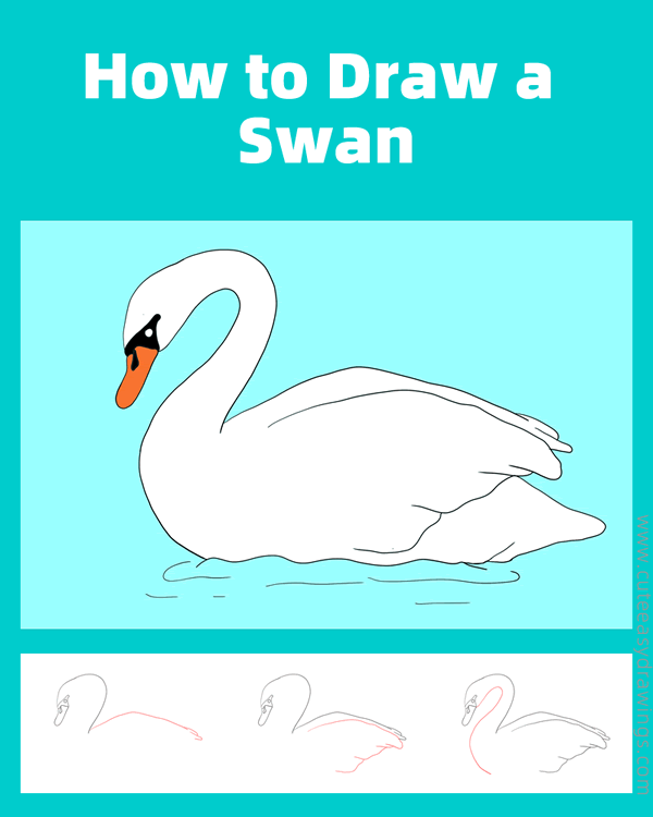 how to draw a swan - www.cuteeasydrawings.com